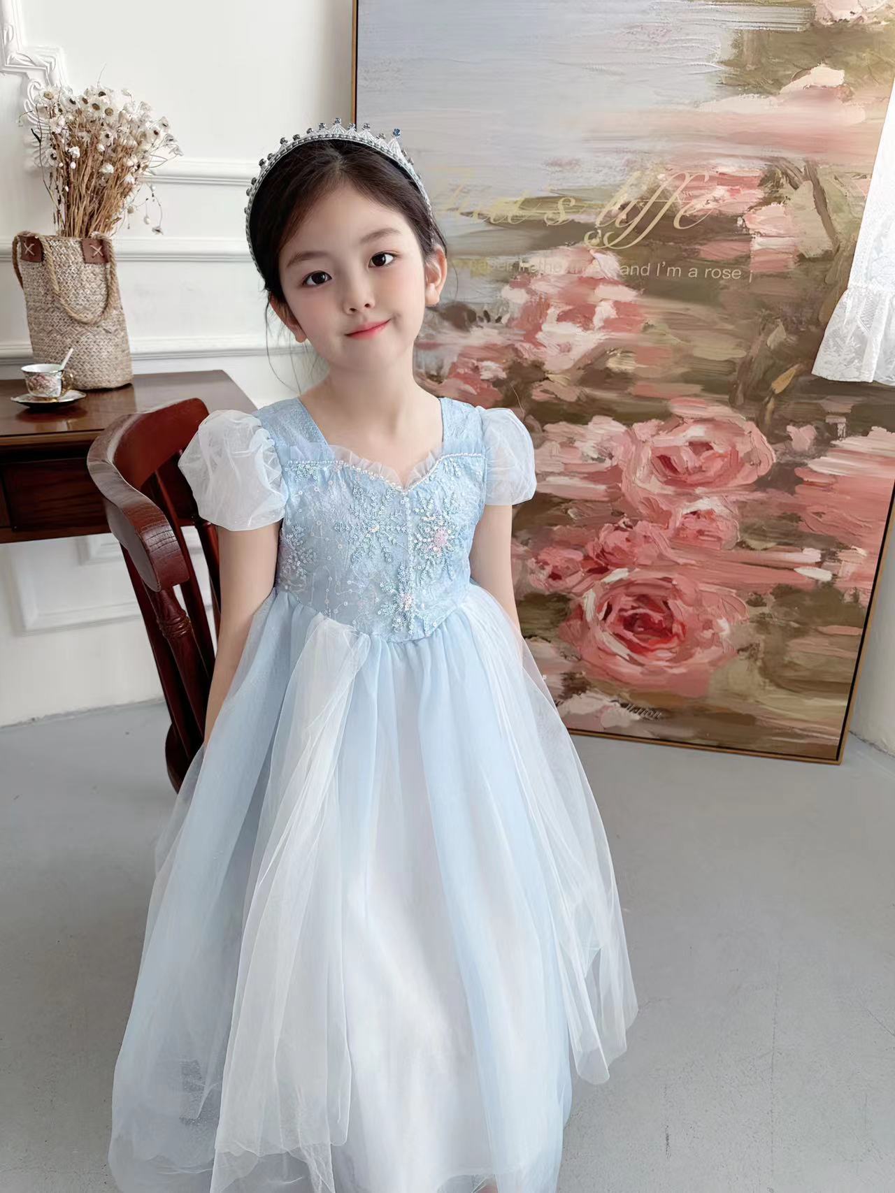 자수 엘사 소녀 원피스, 공주 코스프레 메쉬 코스튬,  - Baby Clothing Dresser 리뷰 및 가격