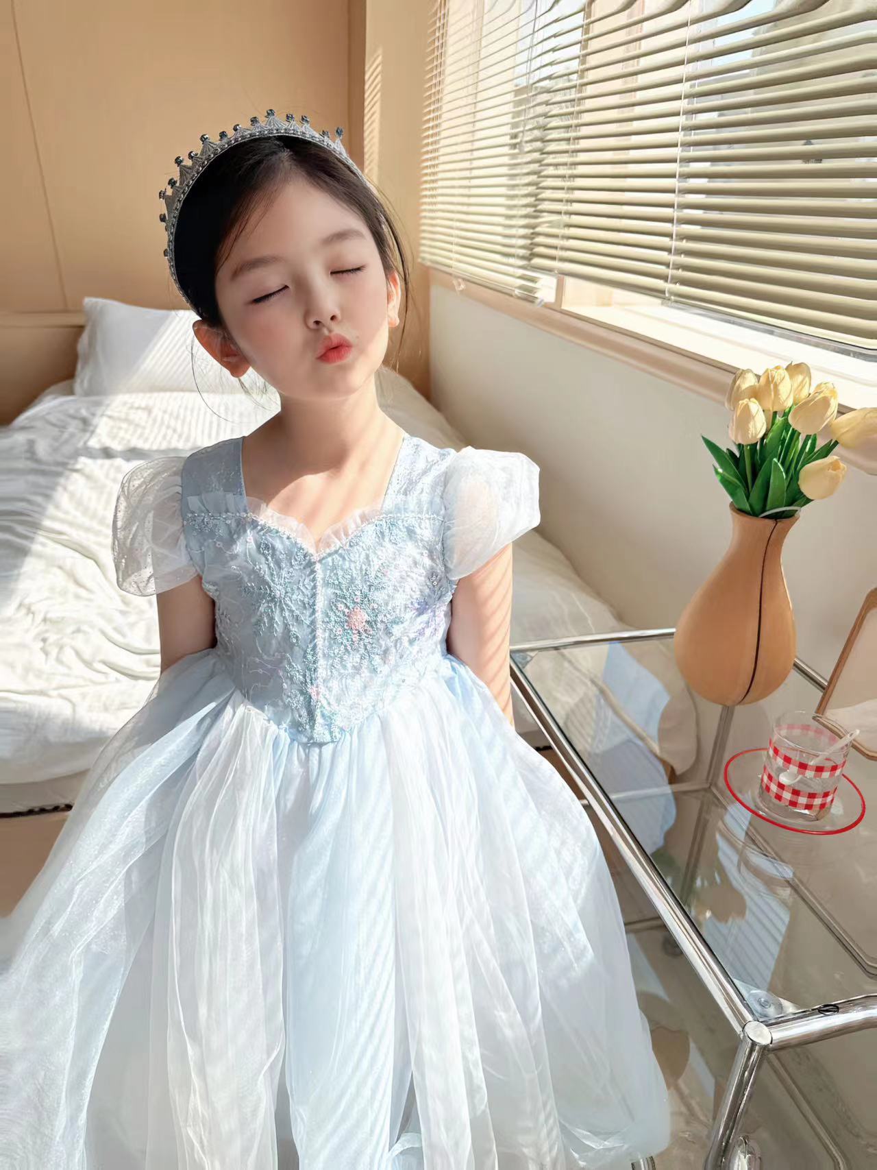 자수 엘사 소녀 원피스, 공주 코스프레 메쉬 코스튬,  - Baby Clothing Dresser 리뷰 및 가격