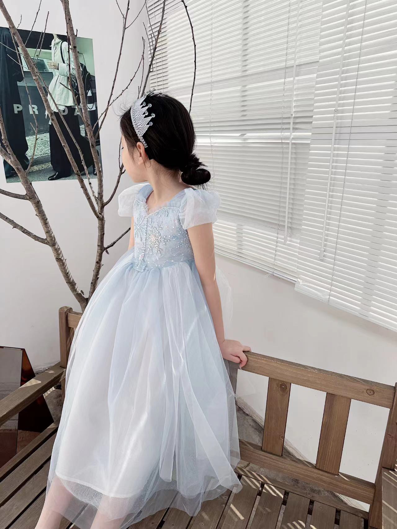 자수 엘사 소녀 원피스, 공주 코스프레 메쉬 코스튬,  - Baby Clothing Dresser 리뷰 및 가격